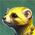 Golden Ferret